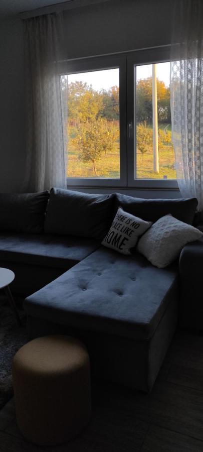 Villa Vikend House à Ljig Extérieur photo