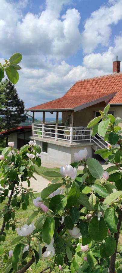 Villa Vikend House à Ljig Extérieur photo